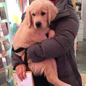 Meet your Posher, Courtney